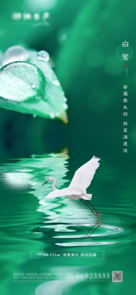 源文件下載【地產節氣白露清新海報】編號：58570001573204608