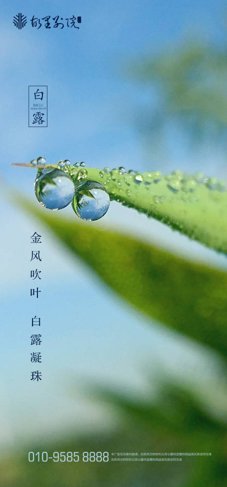 源文件下载【白露节气海报】编号：65530001820945316