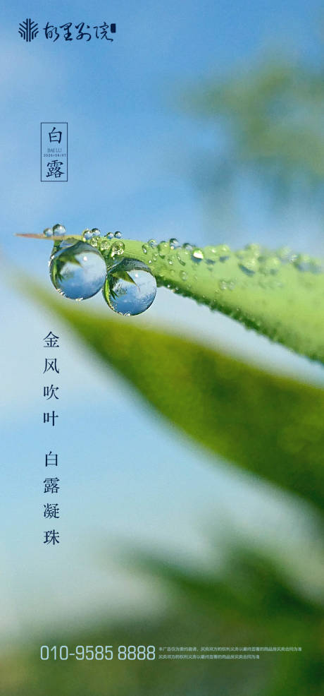 源文件下载【白露节气海报】编号：20200830151632783