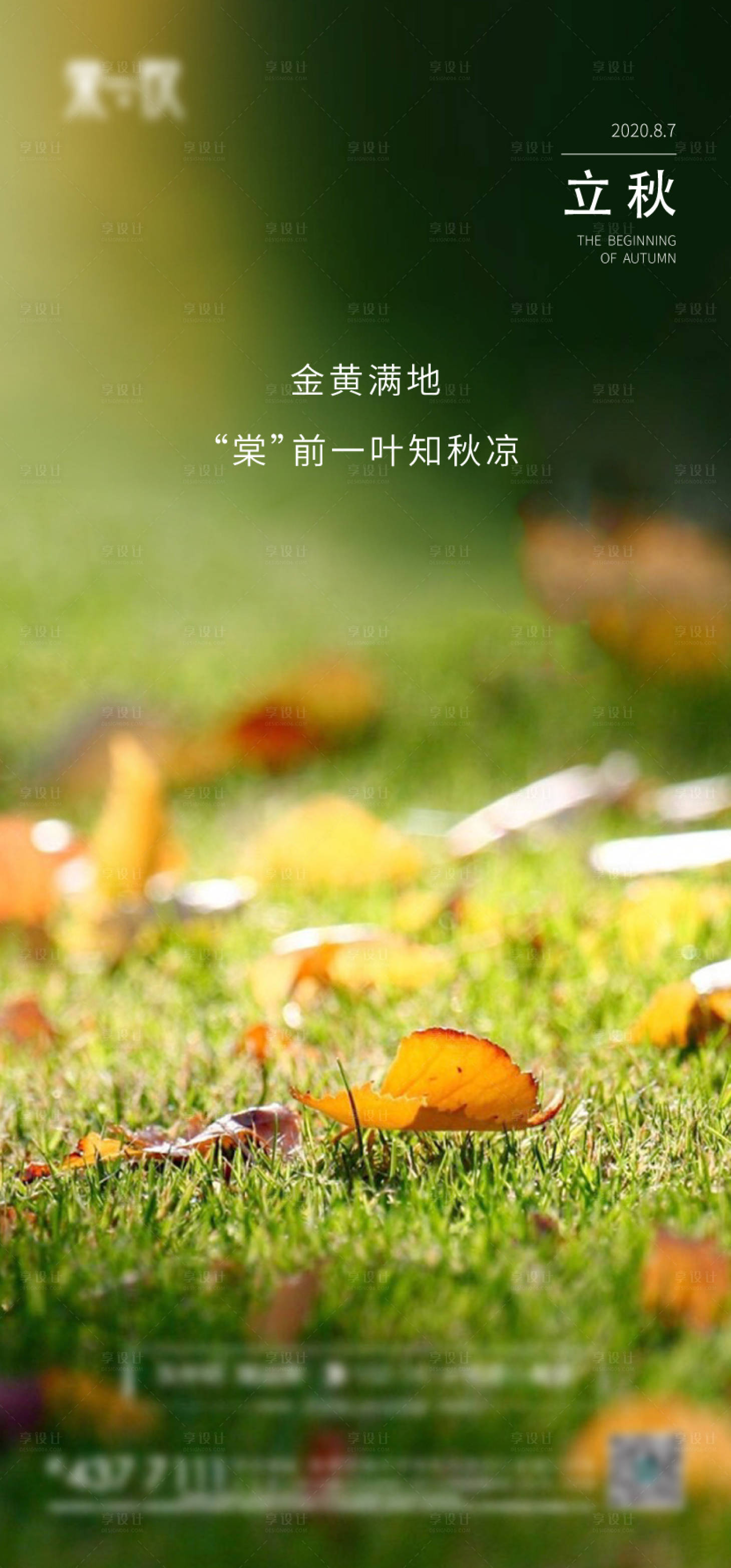 源文件下载【立秋节气移动端海报】编号：53360001560455761