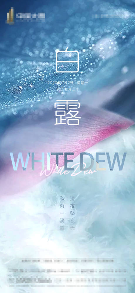 源文件下载【白露节气移动端海报】编号：23870001802964445