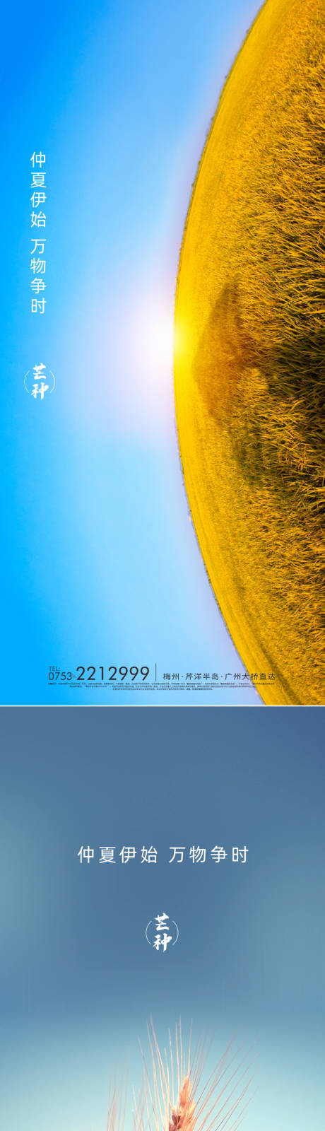 源文件下载【芒种海报】编号：81640001576031592