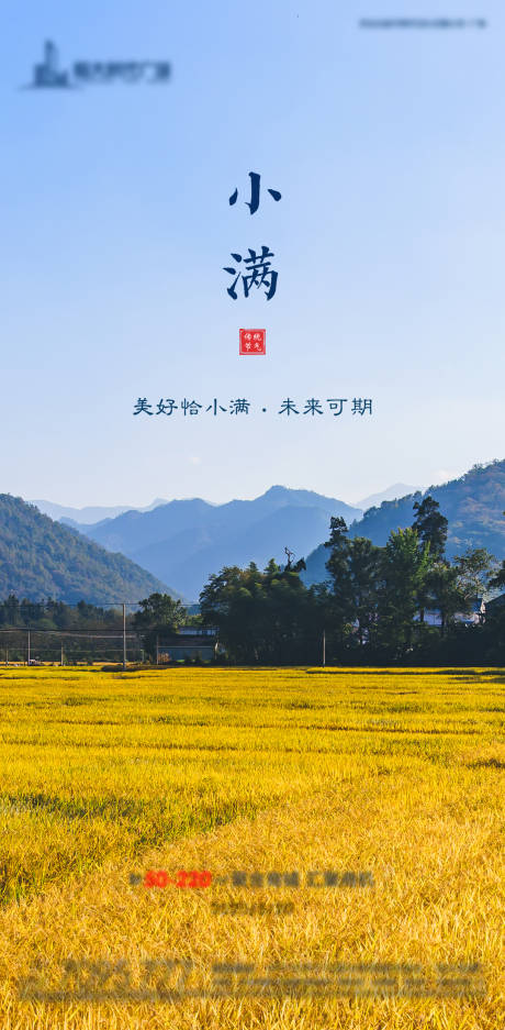 源文件下载【小满节气海报】编号：12290001592786955