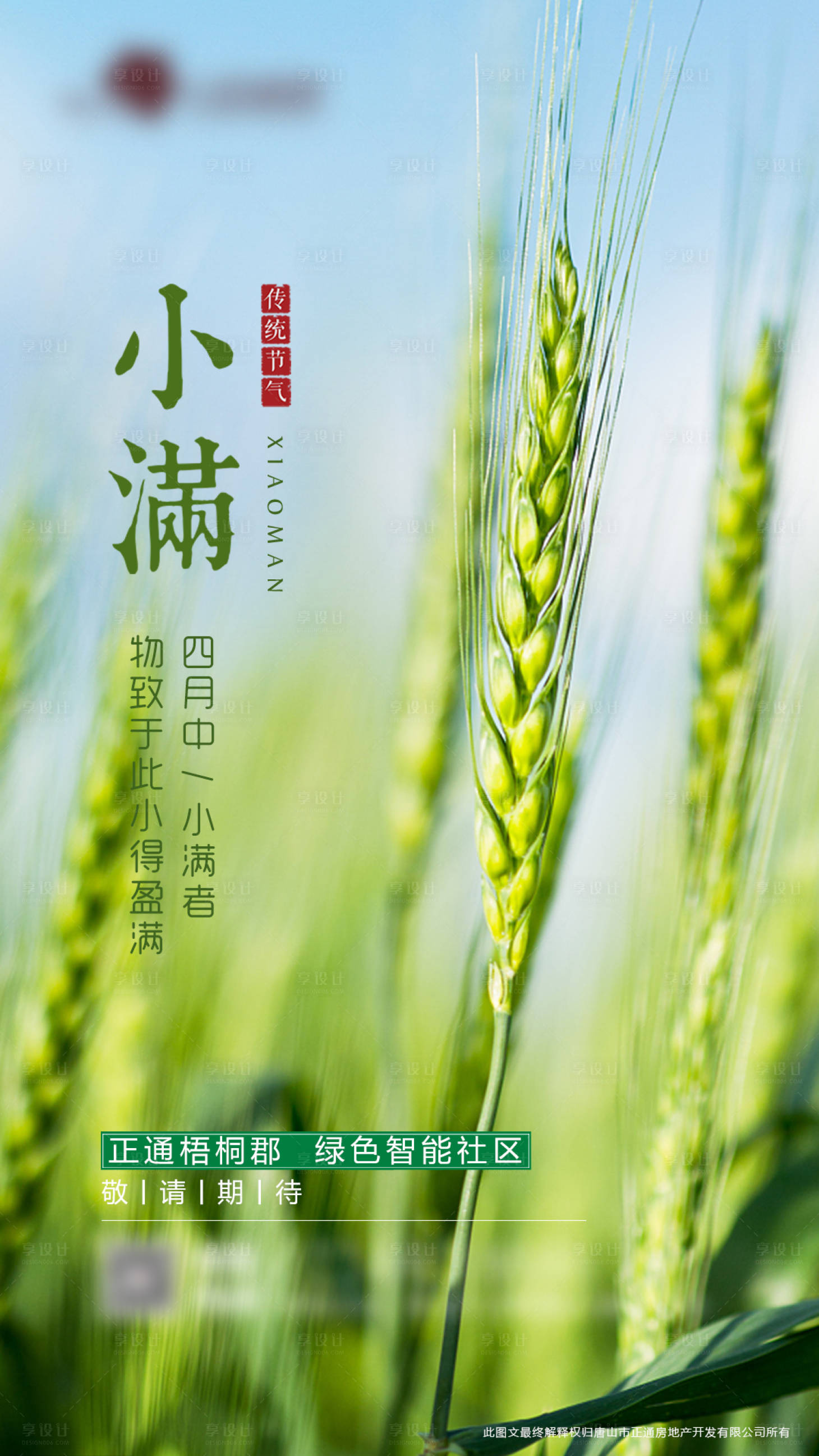 源文件下載【享設(shè)計(jì)】搜索編號(hào)：56080001969025268【小滿海報(bào)】