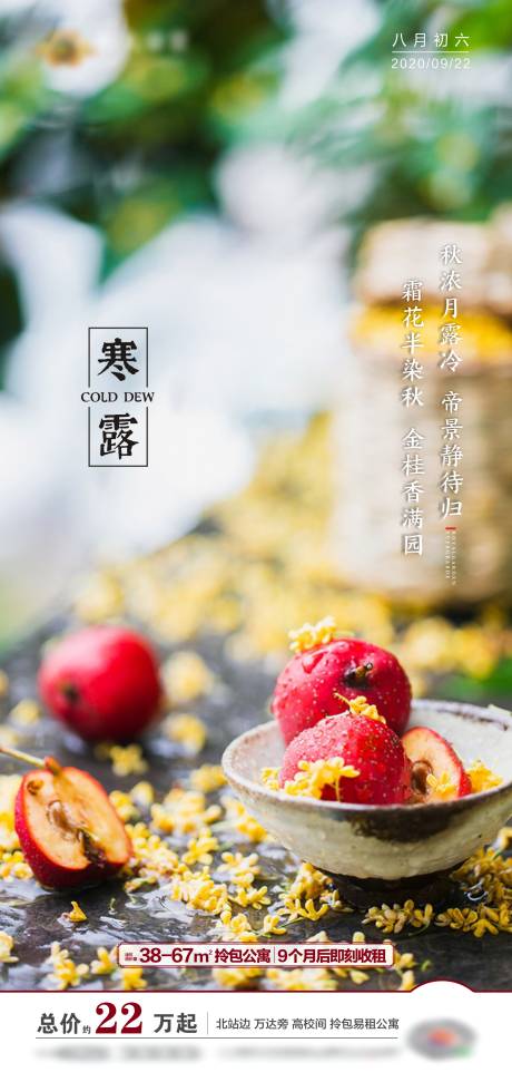 源文件下载【地产寒露节气海报】编号：31650002077757568