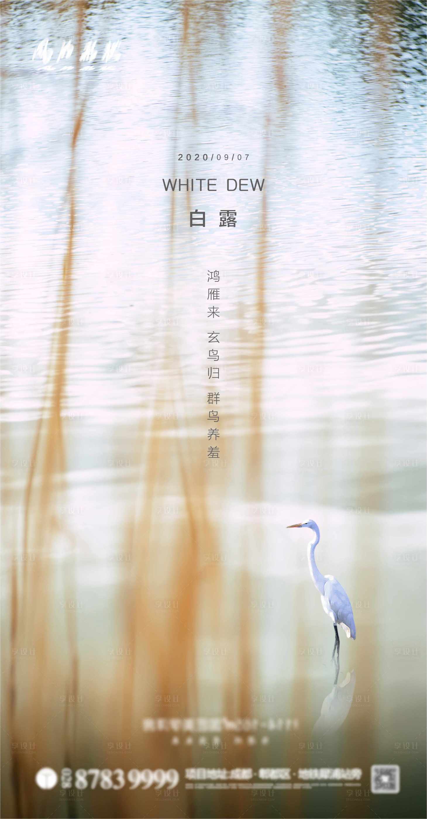源文件下載【享設(shè)計(jì)】搜索編號：95780001867515972【二十四節(jié)氣之白露海報】