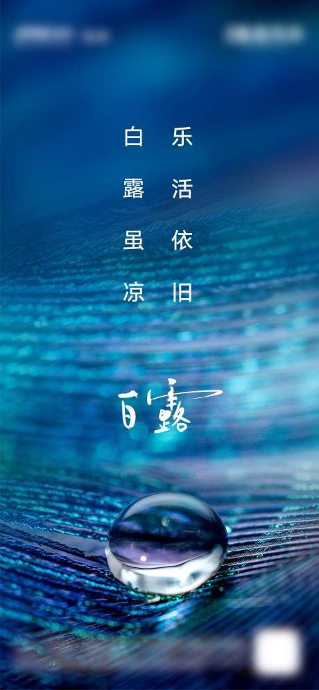 源文件下载【地产白露节气海报】编号：20200901135728778