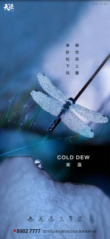 源文件下載【享設(shè)計(jì)】搜索編號：85720002038132286【寒露蜻蜓露珠質(zhì)感海報(bào)】