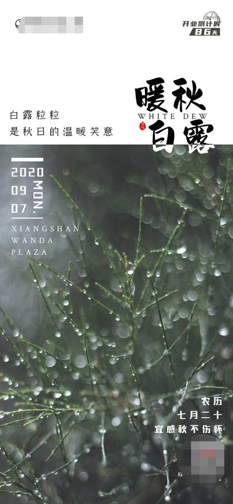 源文件下载【享设计】搜索编号：31710001896666377【白露刷屏】