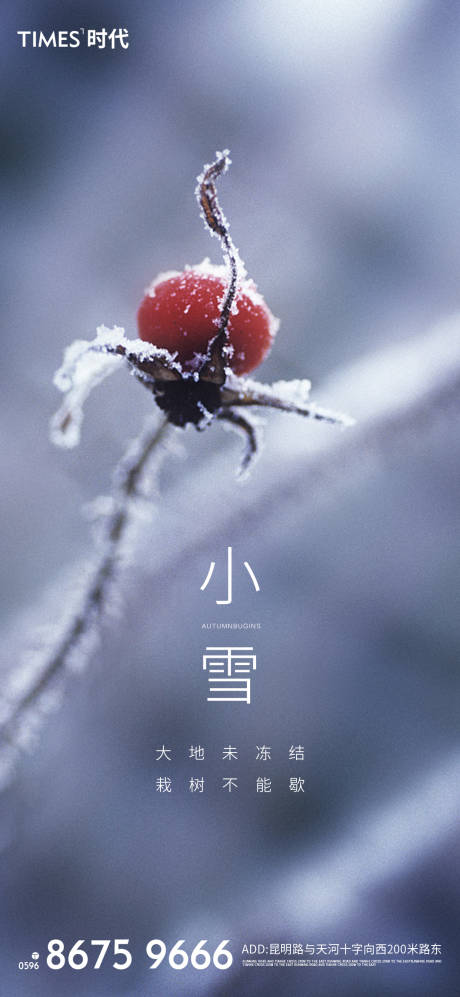 源文件下载【享设计】搜索编号：40090001915689719【小雪节气海报】