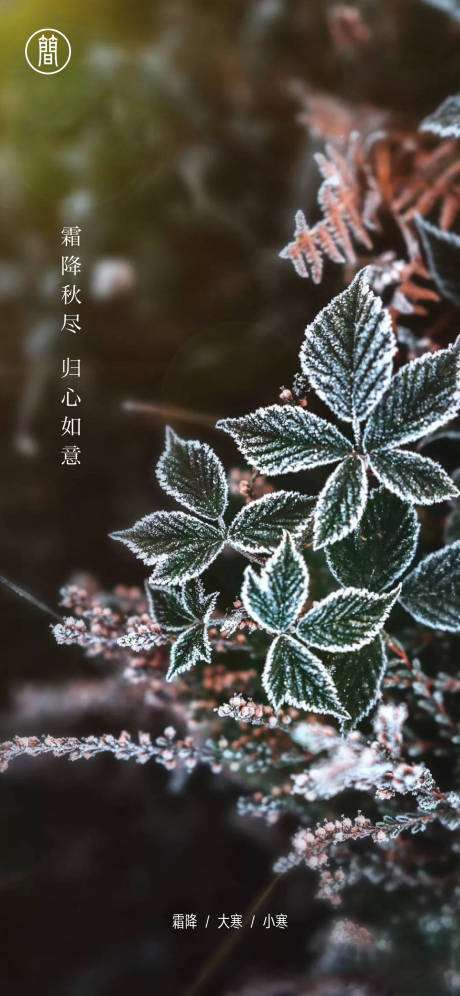 源文件下载【享设计】搜索编号：73490002026349043【霜降大寒小寒节气海报】