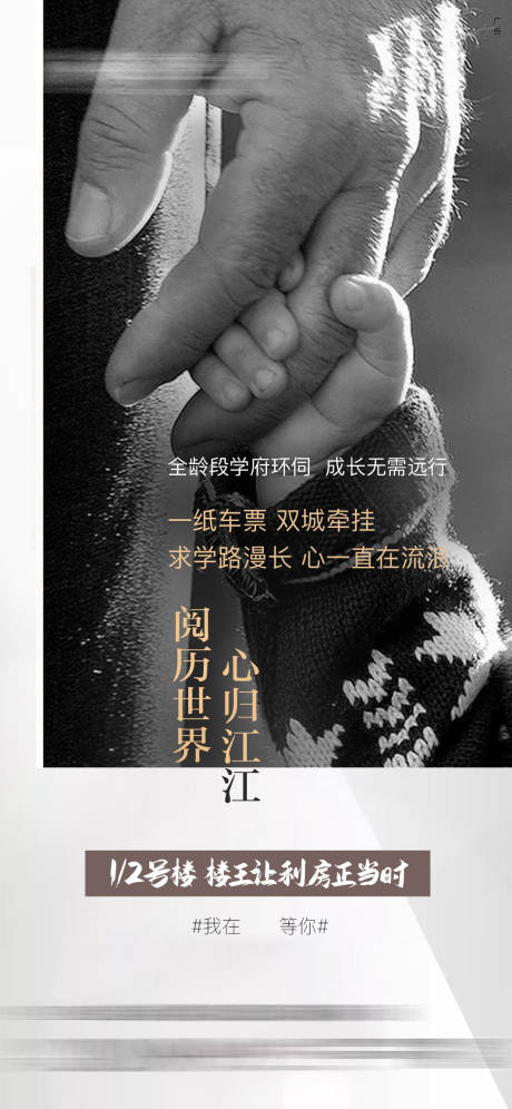 源文件下载【返乡置业价值点海报】编号：24120001964553610