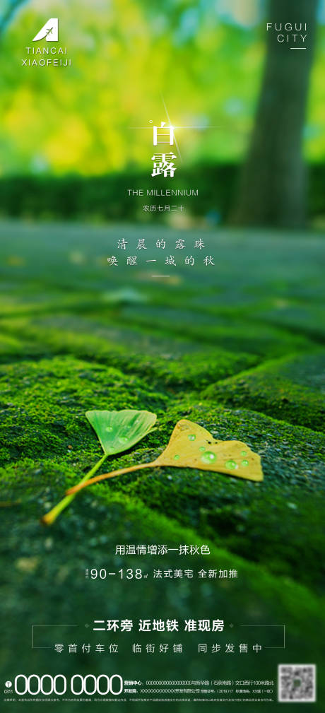 源文件下载【地产白露海报】编号：39940001867216266