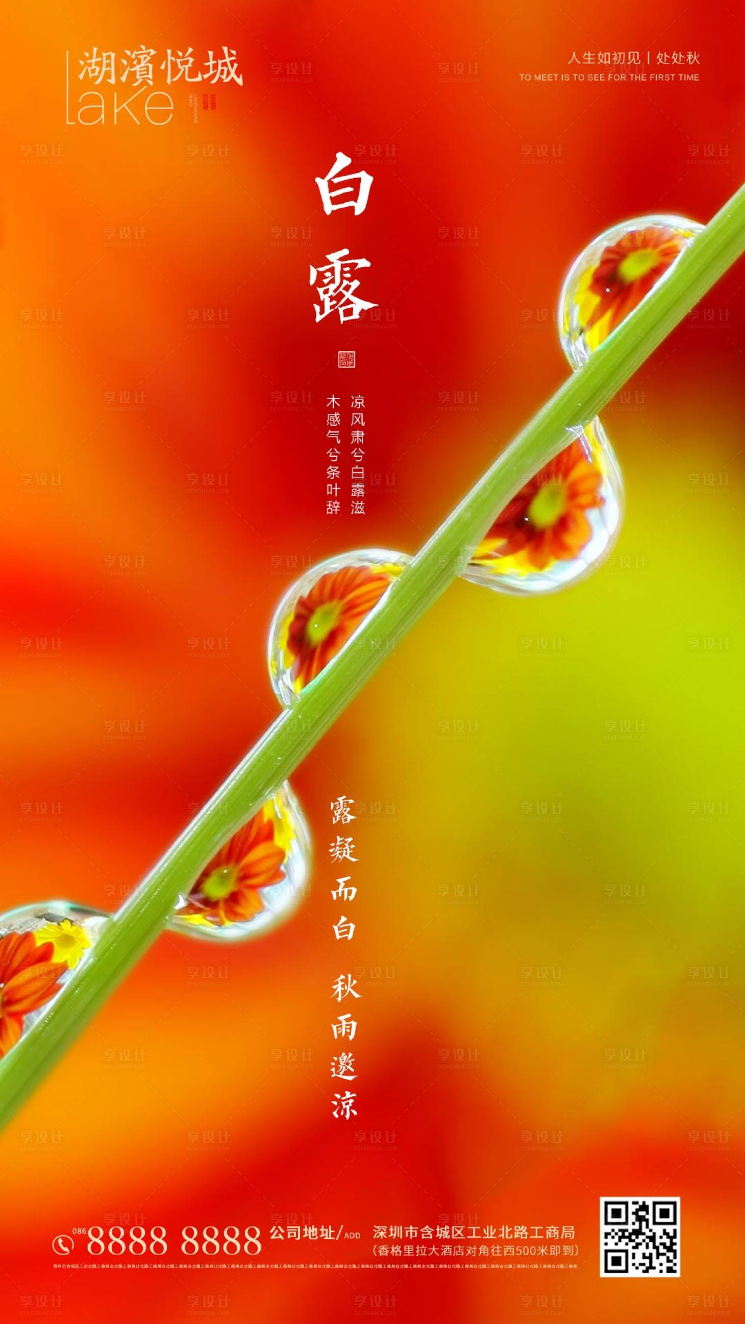 源文件下载【房地产白露海报】编号：24820001844699338