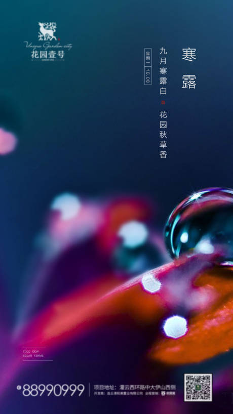 源文件下载【寒露节气移动端海报】编号：24590001933564327