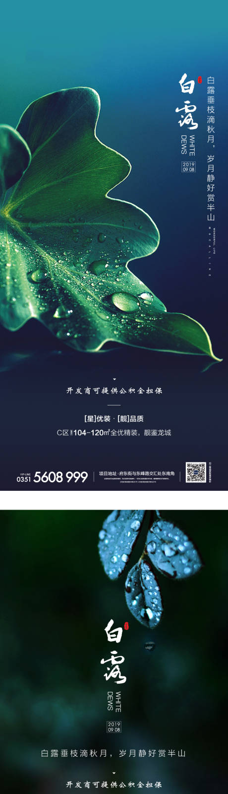 源文件下载【白露节气移动端海报】编号：23150001841642899