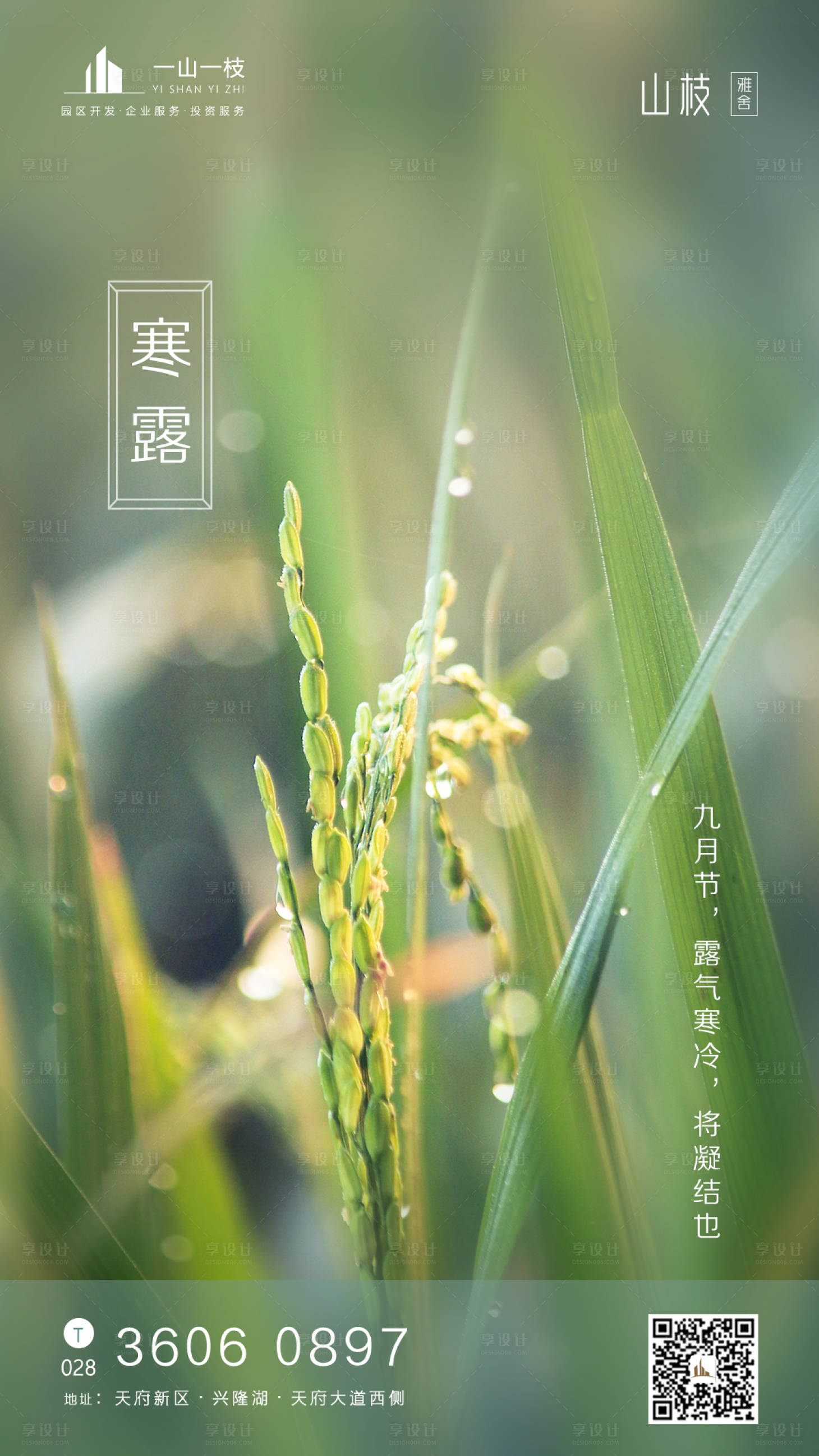 源文件下载【享设计】搜索编号：42500001912906769【二十四节气寒露移动端海报】