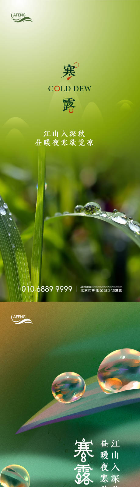 源文件下载【寒露节气系列海报】编号：16180002078931358