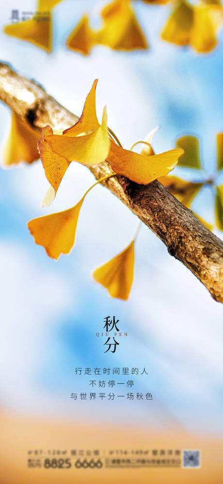 源文件下载【秋分节气海报】编号：91420001994954352