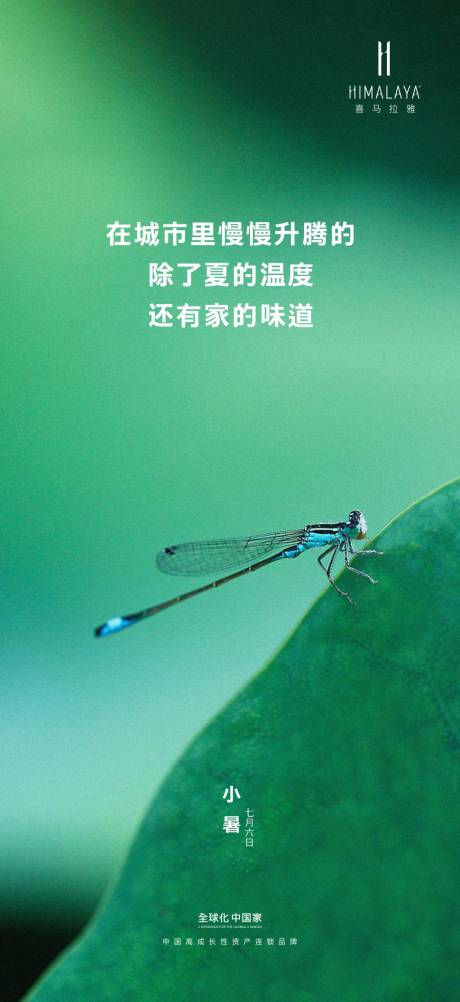 源文件下載【小暑海報】編號：38430001966999394