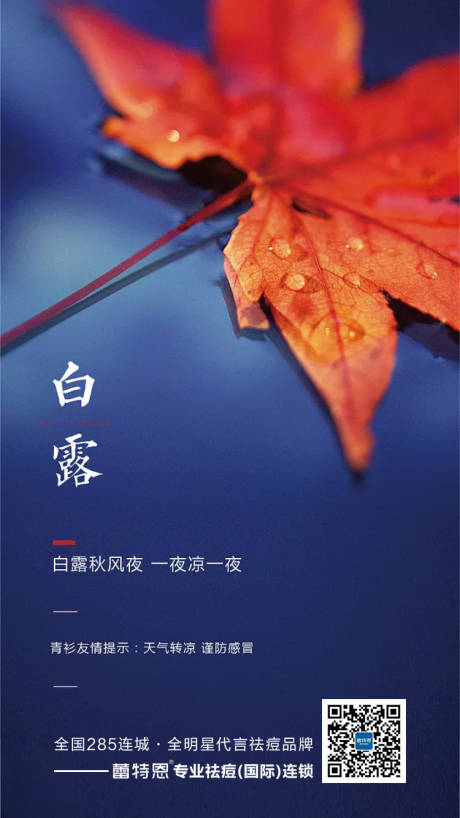 源文件下载【白露节气海报】编号：24120001883592807
