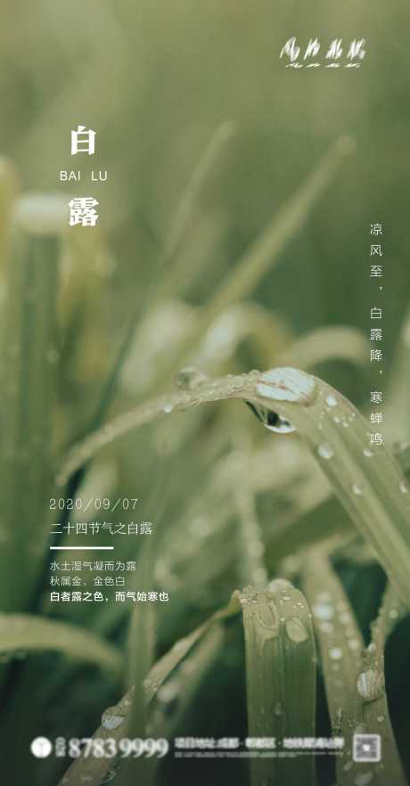 源文件下载【二十四节气白露海报】编号：28890001838314216