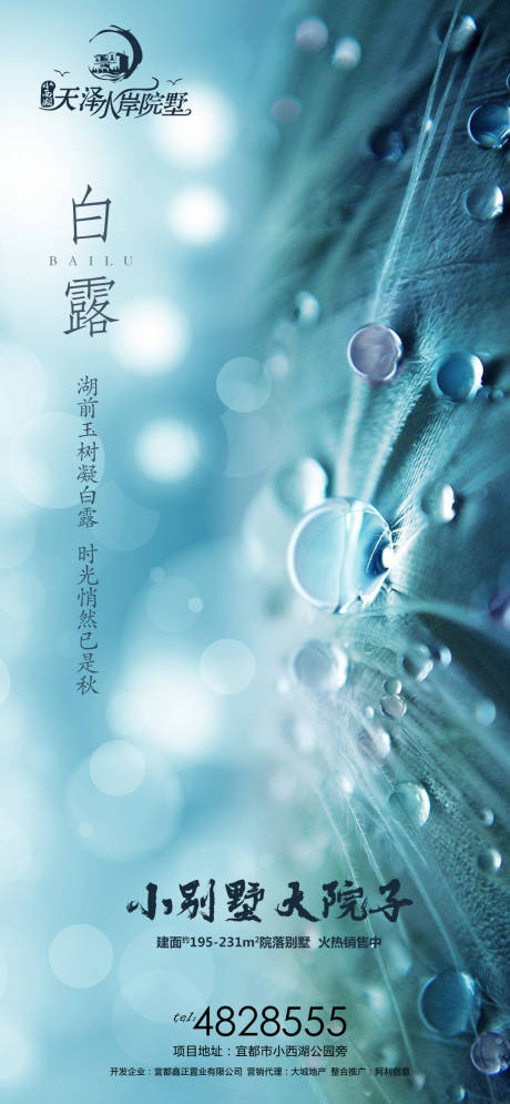 源文件下载【白露微信移动端海报】编号：93400001894704466