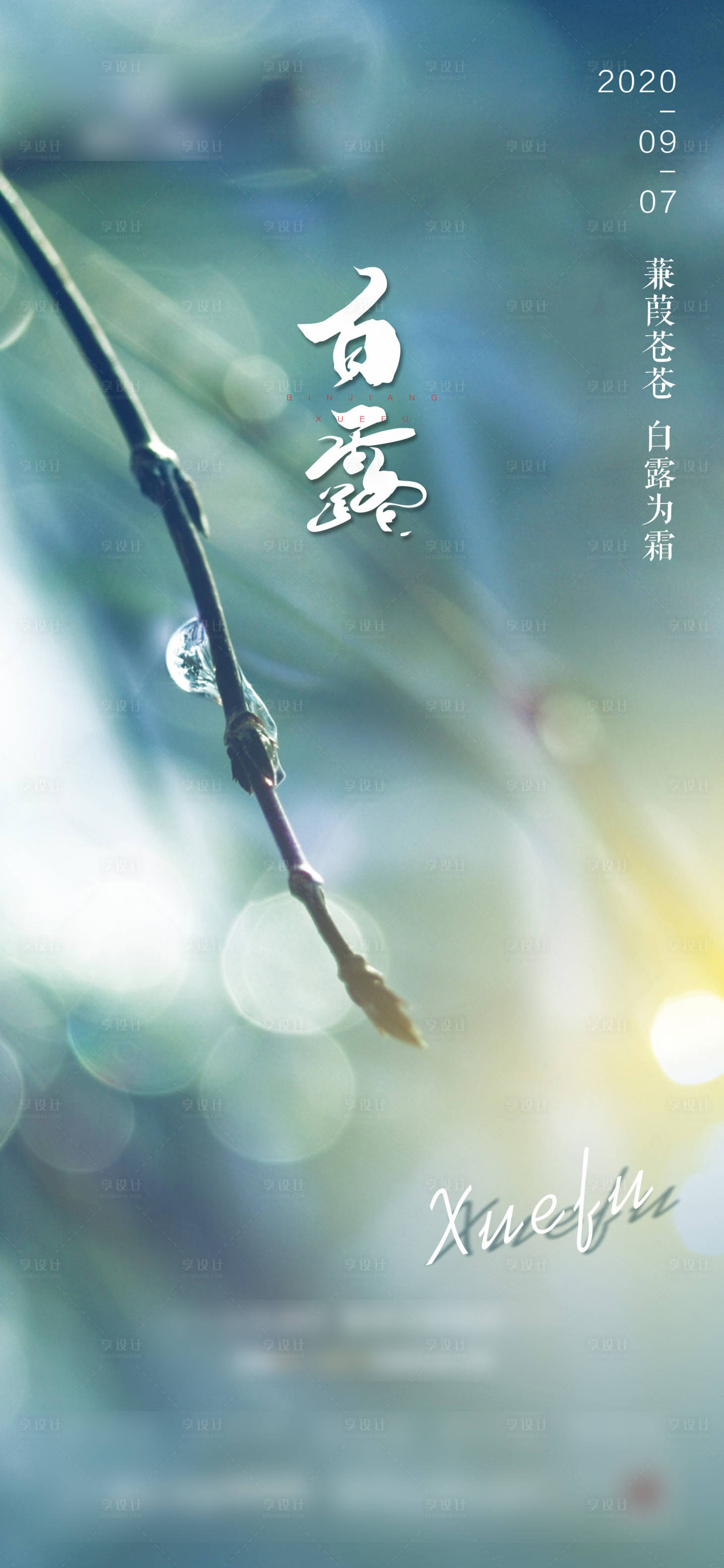 源文件下载【白露节气移动端海报】编号：81210001871491717