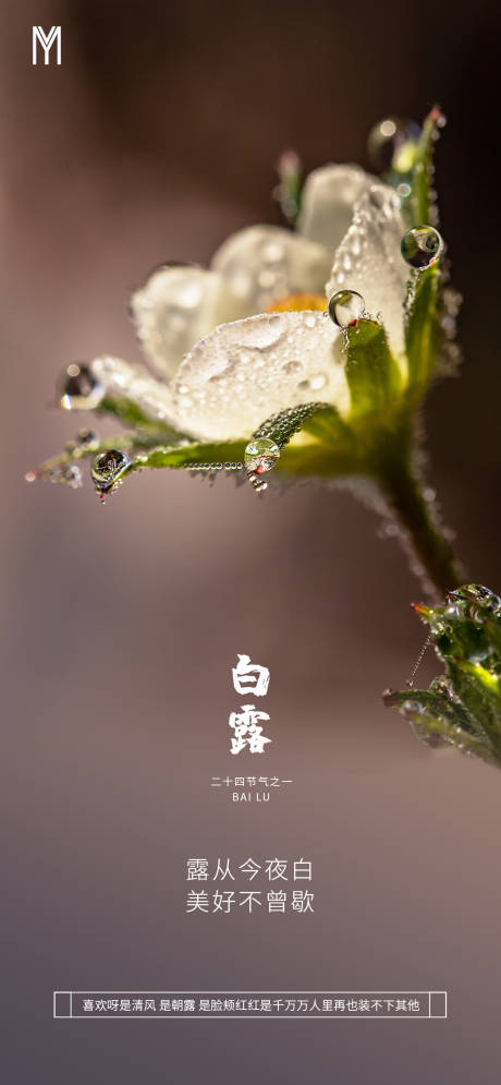 源文件下載【地產白露節氣海報】編號：20200907102708815