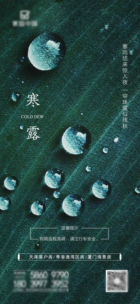 源文件下载【地产寒露节气】编号：99950002064742416
