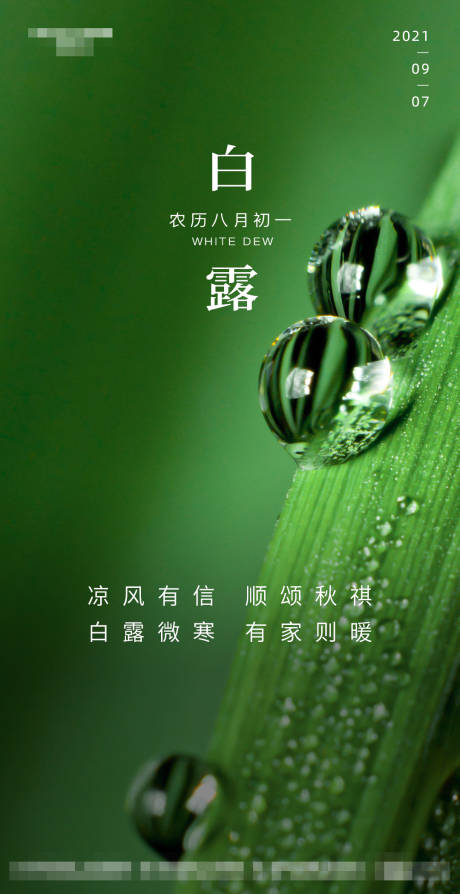 源文件下载【白露节气海报】编号：28690001897927643