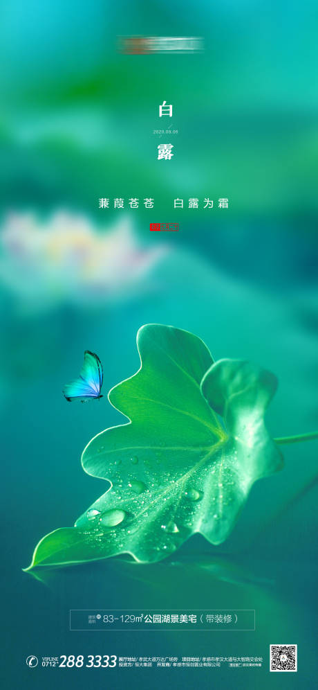 源文件下载【白露】编号：79130001893261086