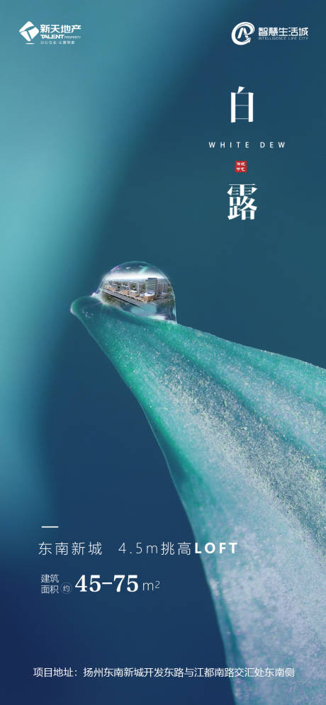 源文件下載【享設計】搜索編號：98530001881228858【白露】