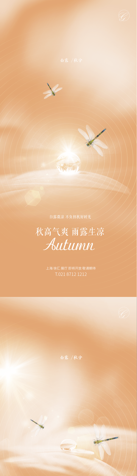 源文件下载【白露蜻蜓系列海报】编号：22430001837542117