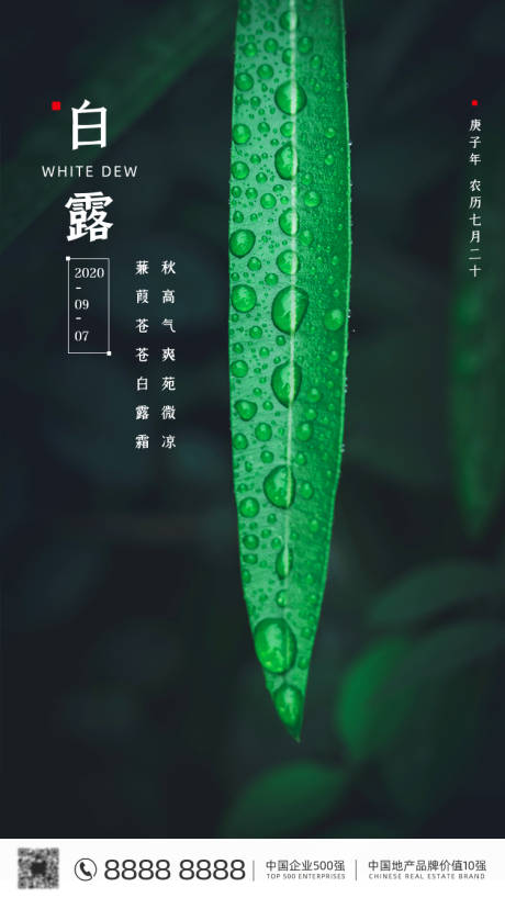 白露二十四节气海报