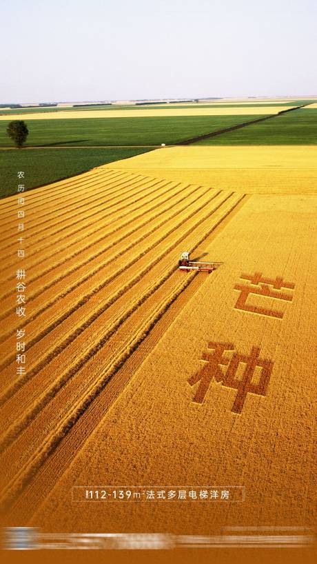 源文件下载【芒种节气刷屏海报】编号：50380001879576849