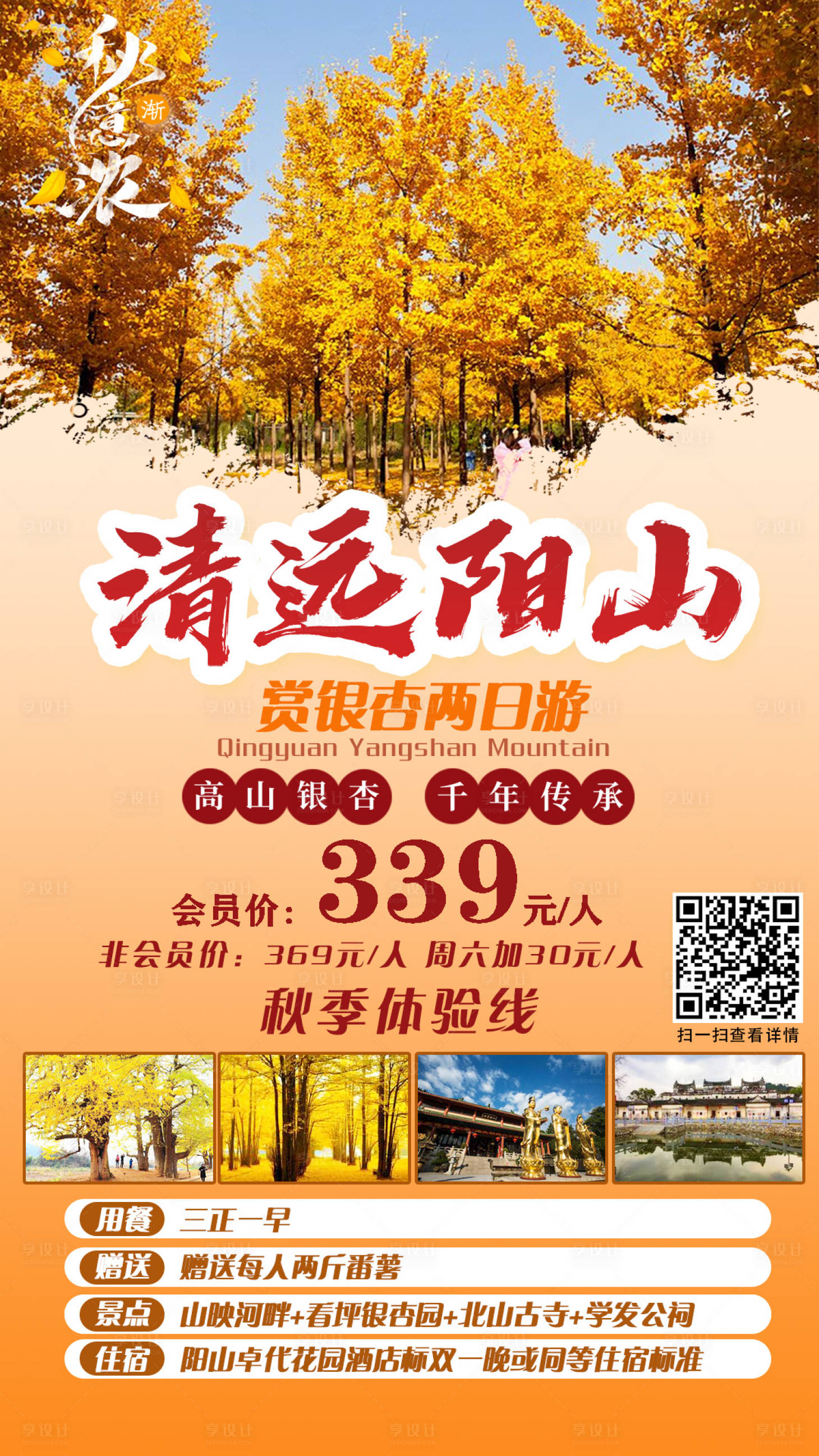 源文件下载【享设计】搜索编号：31450001846468245【清远阳山赏银杏两日游旅行海报】