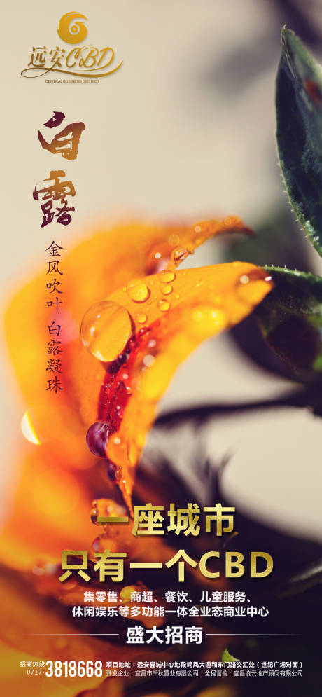 源文件下載【享設(shè)計(jì)】搜索編號(hào)：17130001894724190【白露微信移動(dòng)端海報(bào)】