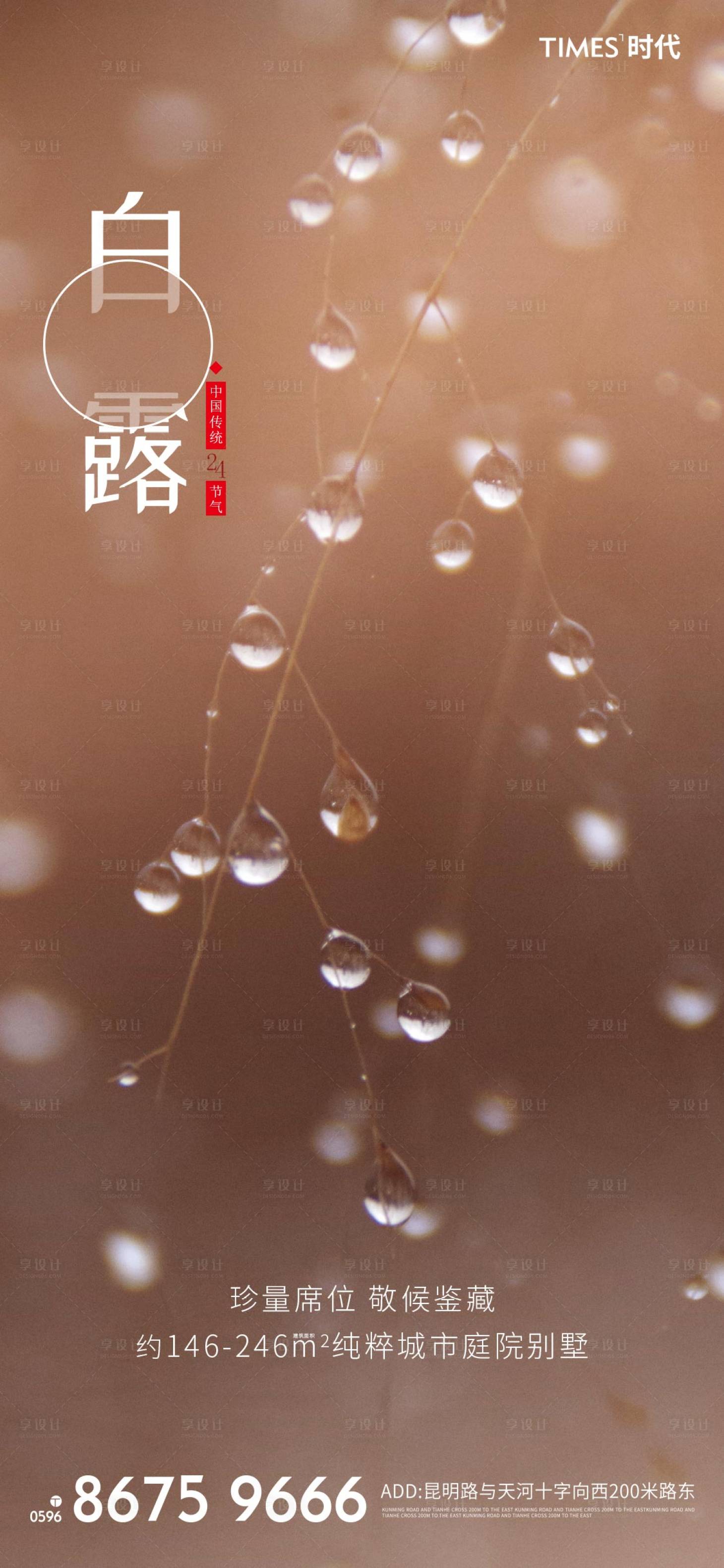 源文件下载【白露节气海报 】编号：36340002069872026