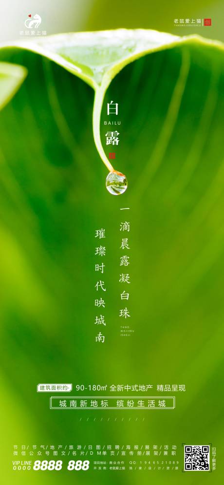 源文件下載【白露大氣簡約節(jié)氣宣傳海報】編號：87680001914273613