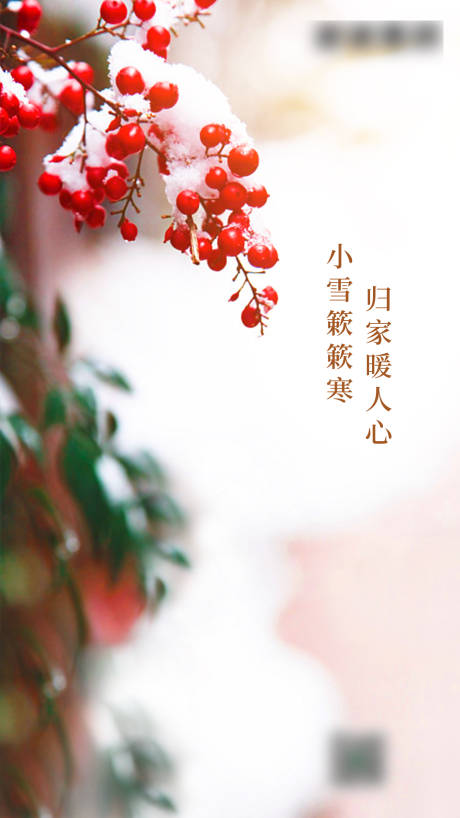 源文件下载【小雪海报】编号：40690001960651641