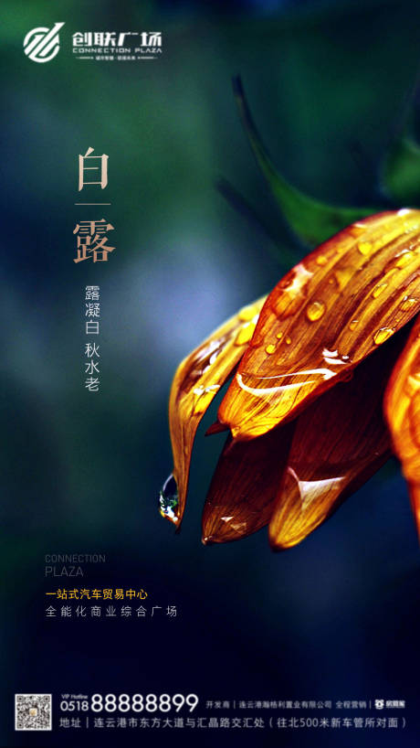 源文件下载【白露节气移动端海报】编号：71330001865126694