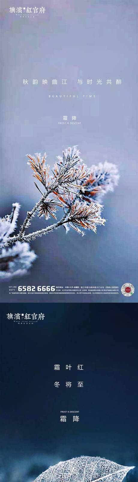源文件下载【地产霜降节气海报】编号：20200920184800488