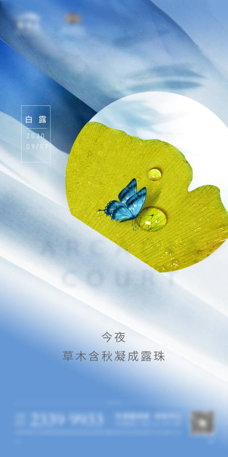 源文件下载【白露节气移动端海报】编号：18860001874276115