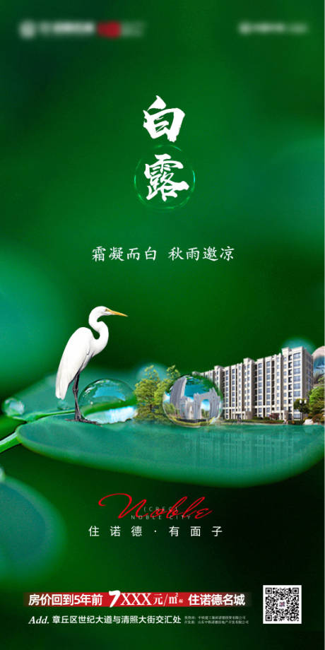 源文件下载【白露节气海报】编号：28310001879775380