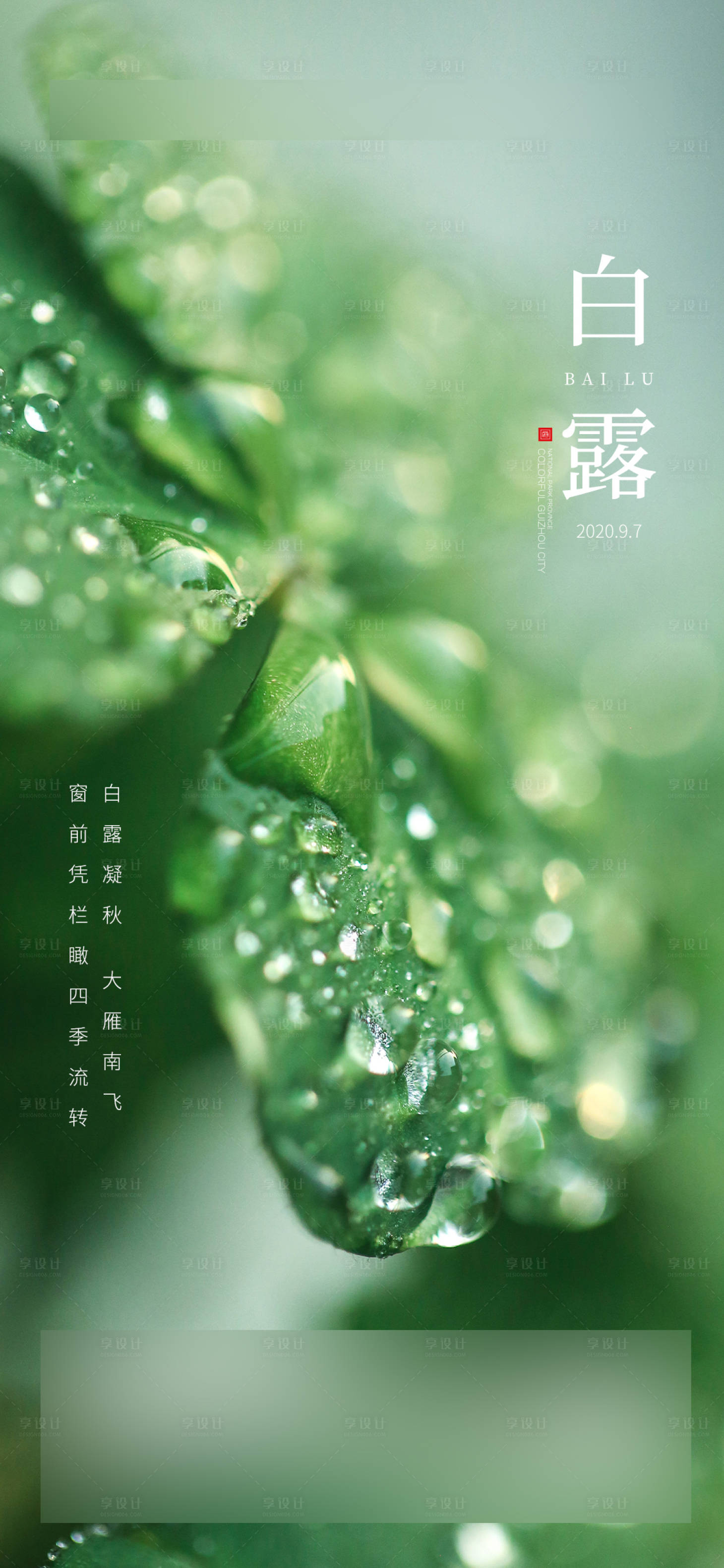 源文件下載【享設計】搜索編號：92210002082134128【地產白露節氣海報】