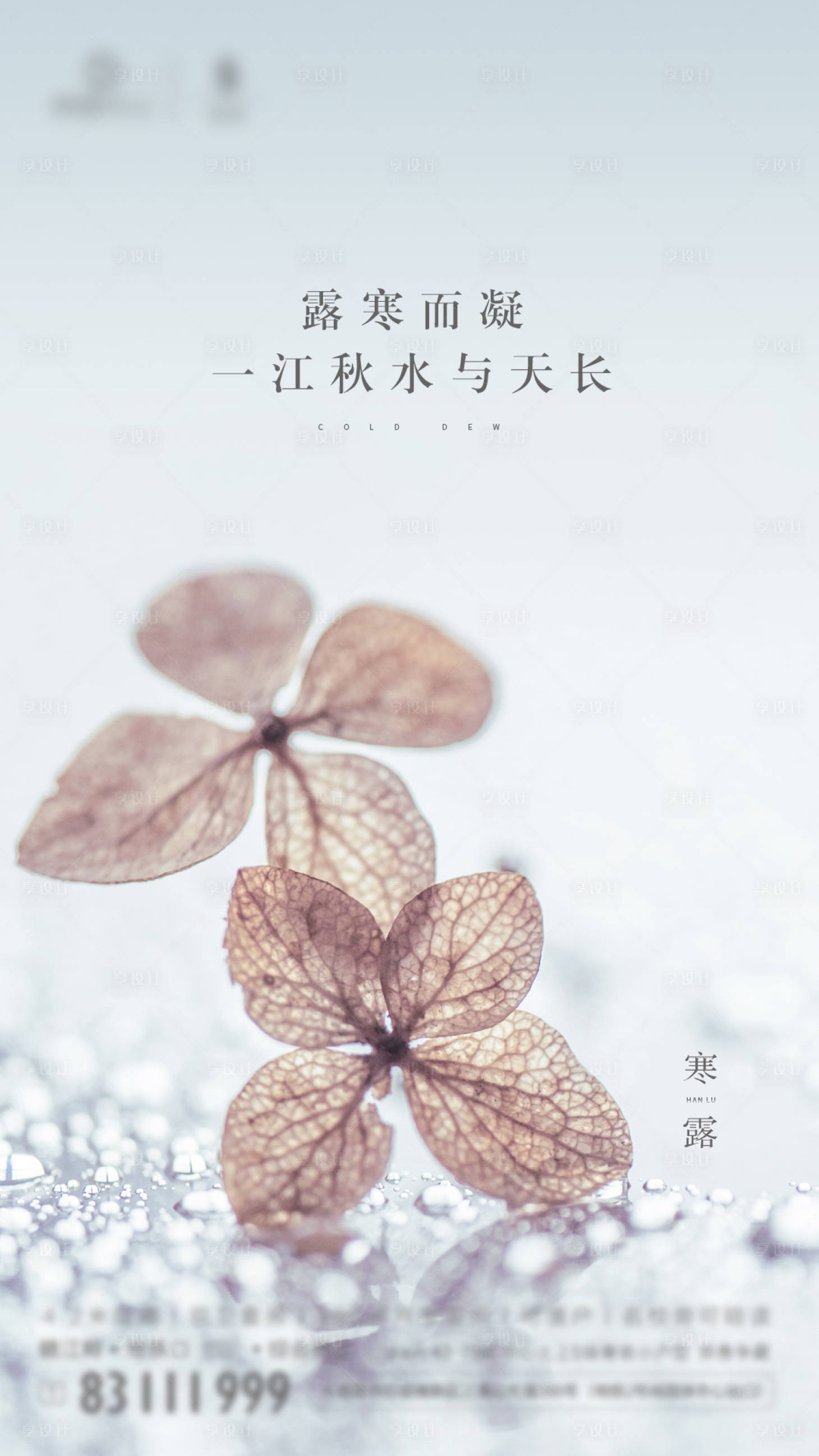 源文件下载【享设计】搜索编号：21110001949215508【地产节气稿寒露】
