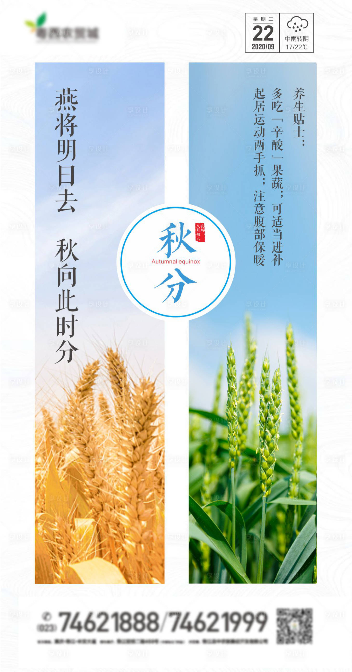 源文件下載【享設計】搜索編號：31290002059731072【秋分移動端海報】