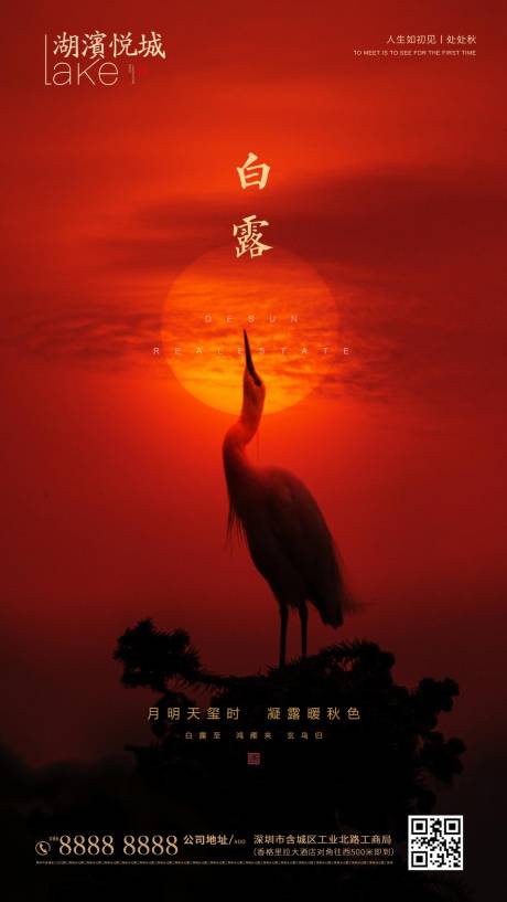 源文件下载【白露节气海报】编号：20200902092403470
