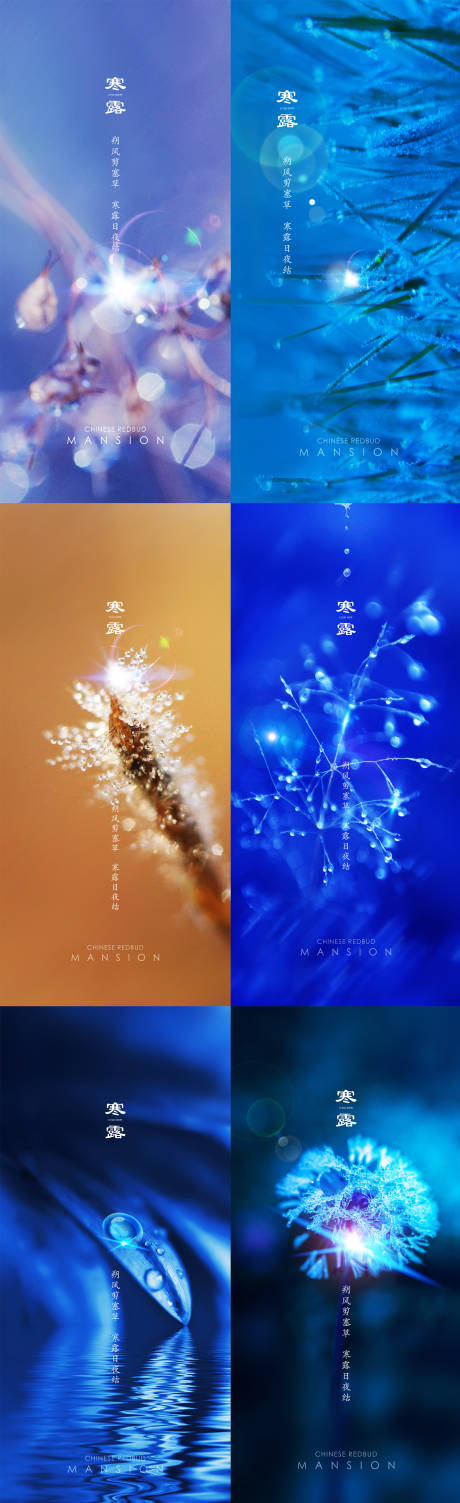 源文件下載【寒露節氣系列海報】編號：98430001912365344
